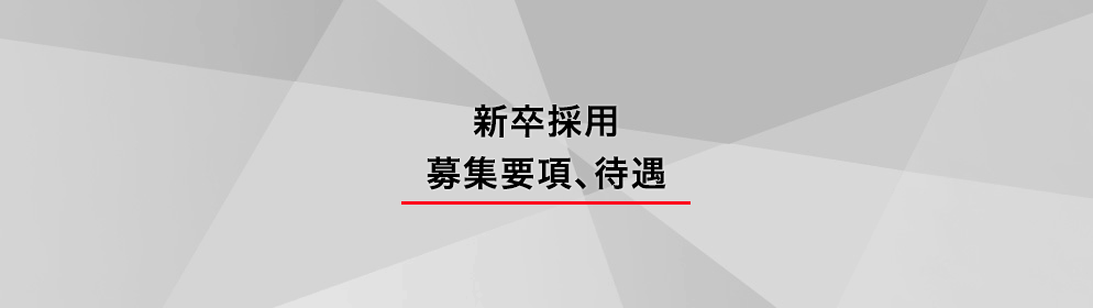 新卒採用 募集要項、待遇